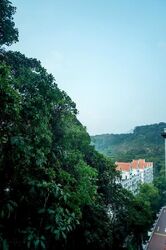The Hillside (D21), Condominium #618987471